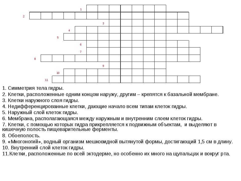 Onion сайт кракен